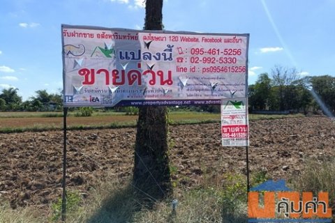 ที่ดิน 3 งาน 78.0 ตรว. ต.ขามทะเลสอ อ.ขามทะเลสอ จ.นครราชสีมา