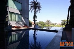 ขายคอนโดหรู ระดับ 5 ดาวในเชียงใหม่ The Starhill Condo สามารถเลี้ยงสัตว์และทำธุรกิจได้