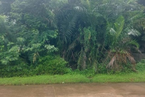 ขายที่ดิน 200 ตร.ว. หมู่บ้านเอื้อสุข พัฒนาการ 58 ซอย 6 ใกล้ถนนศรีนครินทร์