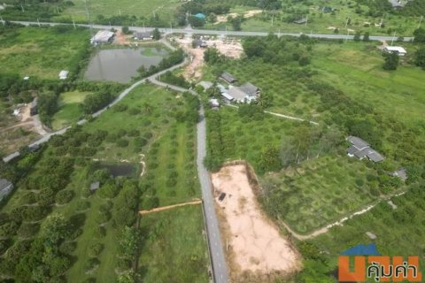 [ขาย] ที่ดินสวย ทำเลดี แบ่งขาย 4 แปลง | ถมแล้ว พร้อมสร้างบ้าน | ติดถนน มีไฟฟ้า น้ำประปา | ห่างถนนสายหลัก 200 ม.