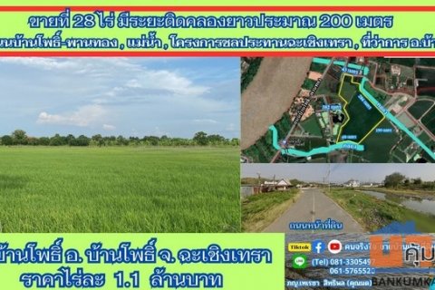 ขายที่ติดคลอง 28 ไร่ ต.บ้านโพธิ์ อ.บ้านโพธิ์ จ.ฉะเชิงเทรา