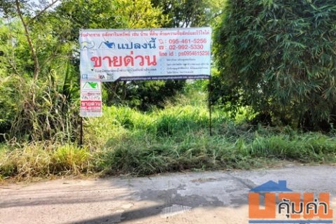 ที่ดินเปล่า 1-1-88.4 ไร่ ติดถนน 3 ด้าน ต.เมืองปัก อ.ปักธงชัย จ.นครราชสีมา