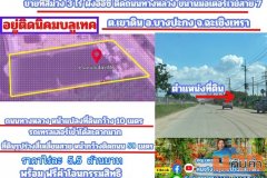 ขายที่สีม่วง 3 ไร่ ผังอีอีซี ติดถนนเลียบมอเตอร์เวย์ ขาเข้ากรุงเทพ และ อยู่ติดนิคมบลูเทค ต.เขาดิน อ.บางปะกง จ.ฉะเชิงเทรา