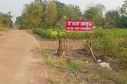 ที่ดิน ต.กลอนโด อ.ด่านมะขามเตี้ย หมาะทำบ้านสวน รีสอร์ท หรือเก็บไว้ลงทุน