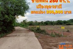 ขายที่ดิน เนื้อที่ 250 ตรว. ใกล้เมืองอุดร ติดถนนคอนกรีต มีไฟฟ้า