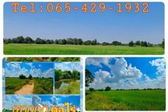 ขายที่ดินอำเภอหนองหญ้าไซ จังหวัดสุพรรณบุรี เนื้อที่ 46 ไร่ 1 งาน 64 ตารางวา