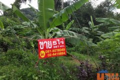 ที่ดินเกาะยอ สงขลา 3 แปลง, 5 ไร่ 3 งาน 67.6 ตร.วา ติดถนน