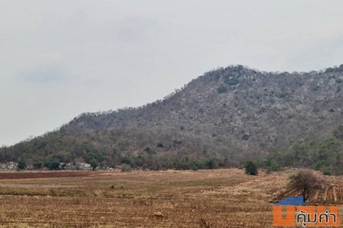 แค่วางดาวน์ก็มีโอกาสเป็นเจ้าของ ที่ดินติดภูเขา ต.พระนอน อ.เมือง จ.นครสวรรค์ วิวสวยมากๆๆ 5ไร่เศษ โทร 096-882-1857