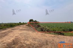ที่ดินเปล่าขนาดใหญ่ ใกล้ม.เกษตรศาสตร์ วิทยาเขตกำแพงแสน ใกล้ตัวอำเภอกำแพงแสน