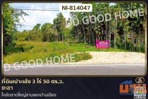 NI-814047 ที่ดินเปาะเส้ง 3 ไร่ 50 ตร.ว. ยะลา ใกล้ตลาดใหญ่สามแยกบ้านเนียง