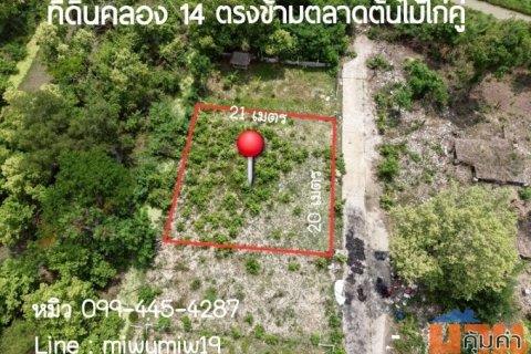 ขายที่ดิน คลอง 14 ธัญบุรี ปทุมธานี ตรงข้ามตลาดไก่คู่ 100วา ราคาถูก
