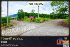 WR-783892 ที่ดินพะโต๊ะ 90 ตร.ว. ชุมพร ใกล้โรงพยาบาลพะโต๊ะ