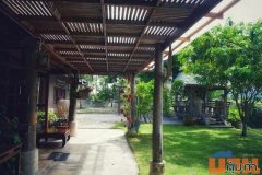 ขายที่ดิน 2-1-0 ไร่ บ้านธิ ลำพูน ใกล้สนามบินใหม่ เหมาะทำรีสอร์ต-เวิร์กช็อป-คาเฟ่ วิวพาโนรามา เพียง 13 ล้าน