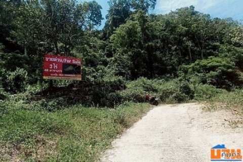 ขายที่เปล่าภูเก็ต...ที่ดินอำเภอกะทู้ ใกล้บ้านสวนล็อคปาล์ม 1246ตร.ว