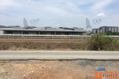 ที่ดินเปล่า ขนาด 3 ไร่ ตรงข้ามสิงห์เบเวอเรช ต.บัวปากท่า อ.บางเลน นครปฐม