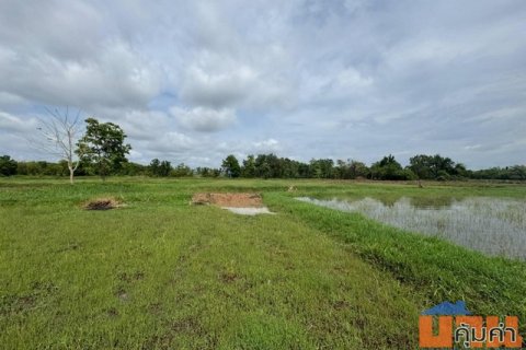 ขายที่ดินแปลงสวยติดถนน อำเภอเมือง จังหวัดหนองคาย เนื้อที่ 24 ไร่