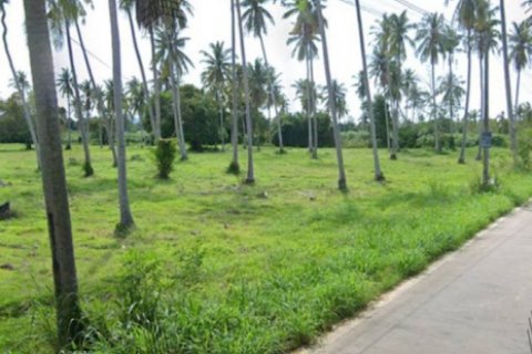 ที่ดินเปล่า ติดถนน 3 ด้าน ห่างจากถนนชบ. 1008 แค่ 400 เมตร เหมาะสร้างโรงแรม รีสอร์ท และหมู่บ้าน