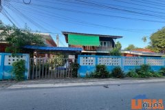 ขายที่ดินและบ้านเช่าพร้อมผู้เช่า เนื้อที่ 250 วา ซอยถนนประชารัฐ บางกุ้ง เมืองสุราษฎร์ธานี ZST216