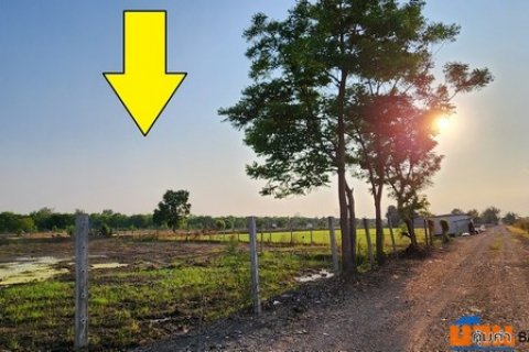 ขายที่ดิน คลอง 12 หนองเสือ 361 ตรว ถมแล้ว ทำเล เหมาะ ปลูกบ้าน ทำการเกษตร ยามเกษียณ หรือซื้อเก็บไว้ในอนาคตได้