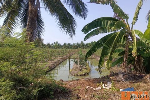 ขายที่ดินเนื้อที่ 10 ไร่ บ้านหัวอ่าว อ.สามพราน จ.นครปฐม เหมาะสร้างบ้านและทำสวนการเกษตร