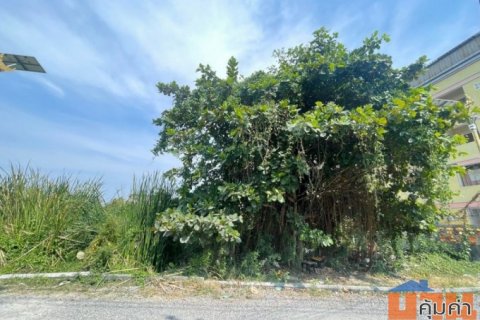 ขาย ที่ดิน ที่ดินแปลงสวย ใกล้สุวรรณภูมิ ที่ดินลาดกระบัง 30-1 187 ตรว ราคาดีเกินคุ้ม