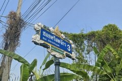 พื้นที่ดิน - ราคา - สุดคุ้ม ใกล้สถานที่ราชการ โรงพยาบาล โรงเรียน