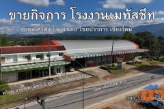 ขายโรงงานเมทัลชีสและอาคารพาณิชย์ 3.5 ชั้น 5 คูหา ทำเลสุดคุ้ม