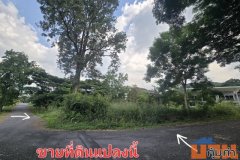 ที่ดิน ภูภัทรา เขาใหญ่ สะดวกต่อการเดินทาง แปลงมุม, ทำเลดี, ติดถนน 2 ด้าน