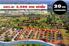 ขายที่ดินแบ่งแปลง 150-200ตรว. เริ่ม 529,000บาท ถนนคอนกรีต ไฟฟ้า น้ำประปา บ้านท่ามะขาม ต.สันทราย อ.สารภี เชียงใหม่
