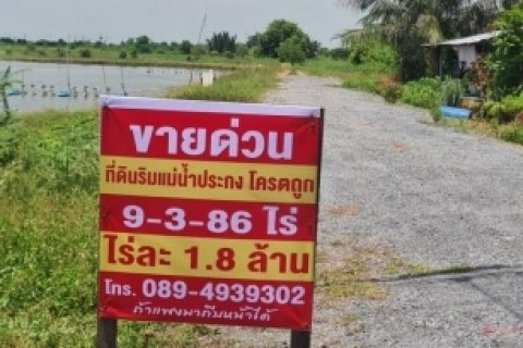 ขายที่ดินริมแม่น้ำบางปะกง อำเภอบางคล้า จังหวัดฉะเชิงเทรา เนื้อที่ 9 ไร่ 3 งาน 86 ตารางวา