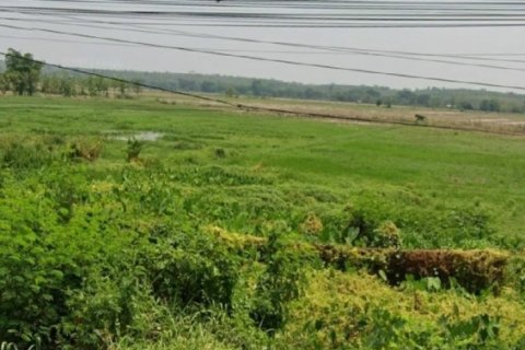 ขายที่ดิน 4-1-49 ไร่ ติดถนนใหญ่ อำเภอเมืองพะเยา