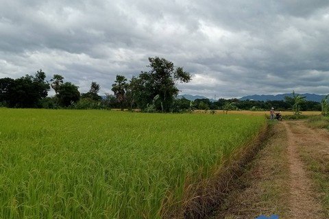 ขายที่ดินแปลงงามขนาด 17 ไร่ 1 งาน 80 ตรว. ในอำเภอเมือง จังหวัดเพชรบูรณ์ วิวสวย บรรยากาศดี!