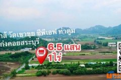 ขายที่ดิน1ไร่สระบุรีราคา650,000หกแสนห้าหมื่นฟรีค่าโอนภาษีที่ดินใกล้วัดซีพีเขาขุยท่าตูมแก่งคอยสระบุรีโทร0934415691