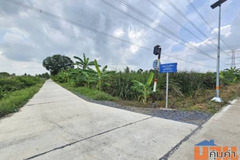 ขายที่ดินเปล่า แปลงสวย ซอยโรงช้อน หนองเสือ ปทุมธานี