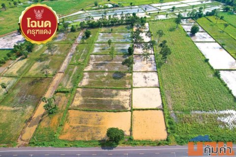 ขายที่ดิน 10 ไร่ 108 ตรว ทำเลศักยภาพ เชื่อมต่อเส้นทางกัมพูชา ต.จรเข้มาก อ.ประโคนชัย จ.บุรีรัมย์