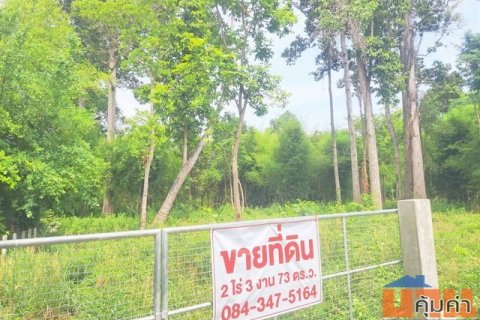 ขายที่ดินสำหรับคนรักต้นไม้มีต้นไม้ใหญ่ อายุ 100 ปี ตำบลดูน อำเภอกันทรารมย์ จังหวัดศรีสะเกษ