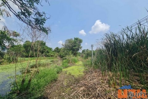 ที่ดิน - พท. 0 RAI 3 NGAN 11 SQ.WA 4600000 THB ไม่ไกลจาก สนามบินสุวรรณภูมิ คุ้มยิ่งกว่าคุ้ม -