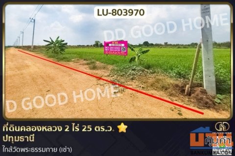 LU-803970 ที่ดินคลองหลวง 2 ไร่ 25 ตร.ว. ปทุมธานี ใกล้วัดพระธรรมกาย (เช่า)