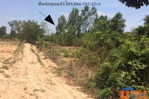 ขายที่ดิน 1 ไร่ 1 งาน อ.เมืองสรวง จ.ร้อยเอ็ด