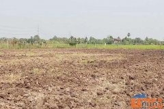 เจ้าของขายเอง ขายที่ดิน 4 ไร่ ตำบลบ่อเงิน อำเภอลาดหลุมแก้ว จ.ปทุมธานี
