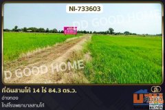 NI-733603 ที่ดินสามโก้ 14 ไร่ 84.3 ตร.ว. อ่างทอง ใกล้โรงพยาบาลสามโก้