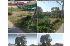ขายที่ดินใกล้โรงเรียนเซ็นเทเรซา หนองจอก ทำเล เดินทางสะดวกสบาย ราคาถูก
