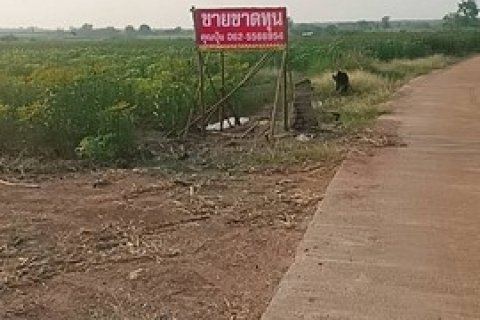 ขายที่ดิน 21 ไร่ วิวภูเขา ติดทางสาธารณะ 2 ด้าน ต.กลอนโด อ.ด่านมะขามเตี้ย กาญจนบุรี ไร่ละ 500,000 บาท