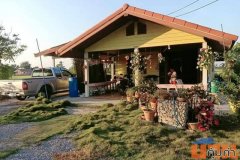 ขายบ้านพร้อมที่ดินวิวทุ่งนา อำเภอศรีประจันต์ จังหวัดสุพรรณบุรี เนื้อที่ 4 ไร่