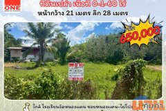 ที่ดินเปล่า เนื้อที่ 0-1-60 ไร่ ทำเลดี ราคาสุดคุ้ม ซอยหนองแตน-ไผ่โปง ตำบล นาสาร อำเภอ พระพรหม จังหวัด นครศรีธรรมราช