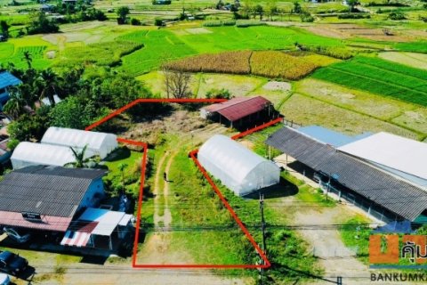 ขายที่ดิน ปัว น่าน 3 งาน 29.1 ตร.ว. ราคา 1.5 ล้าน