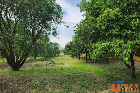 ขายสวนผลไม้คัดพันธุ์ พร้อมระบบบจัดการสวนเกษตรมาตรฐาน มีตรา GI จังหวัดรับรอง ขนาด 14-3-74 ไร่ อ.เมือง จ.นครนายก