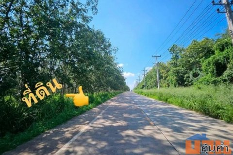 ที่ดินสวยถูกสามารถสร้างโรงงานโกดังได้ ที่ดินผังสีเหลือง ต.หนองอิรุณบ้านบึงชลบุรี