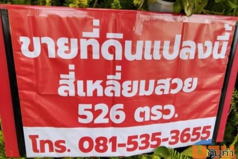 ขายด่วนที่ดินสวย 526 ตรว.ทำเลทอง เขตลาดกระบัง ซื้อวันนี้ 75,000/ว.ปีหน้าขาย 200,000/ว โทร 0815353655