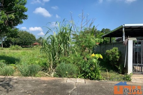 ขายที่ดินหมู่บ้านแม่สารบ้านตอง อำเภอเมืองลำพูน จังหวัดลำพูน เนื้อที่ 68 ตารางวา